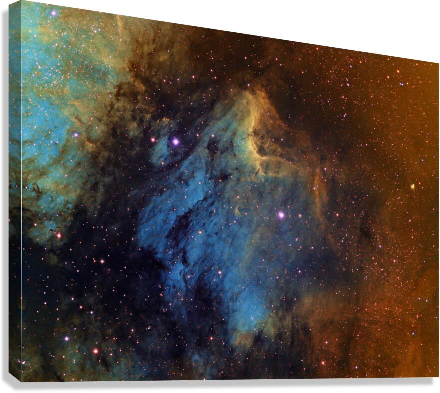 IC 5070 — The Pelican Nebula Canvas Print