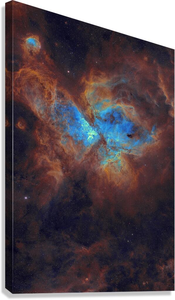 Cosmic Metamorphosis Canvas Print