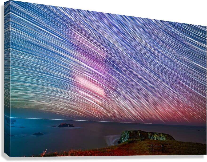 Night in Motion Canvas Print