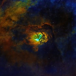 Astronight Astrophotography 6