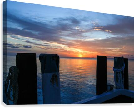 Mocha Dawn Canvas Print