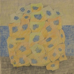 Autumn   2004   16 x 15