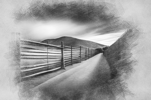 sd77s4354899 Print