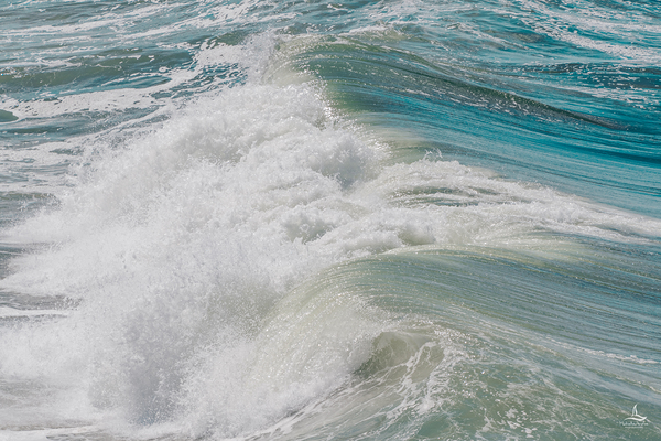 Rainbow Wave by Michelle Andre