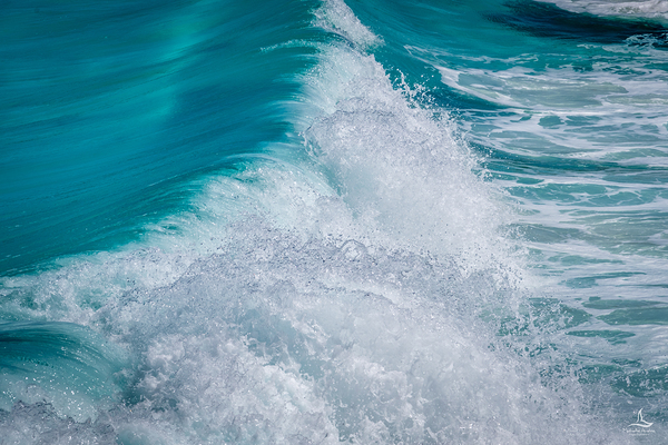 SOUTHERN OCEAN by Michelle Andre