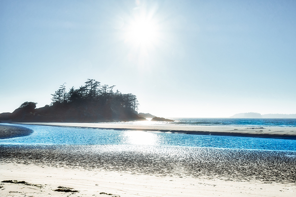 CHESTERMAN by Michelle Andre