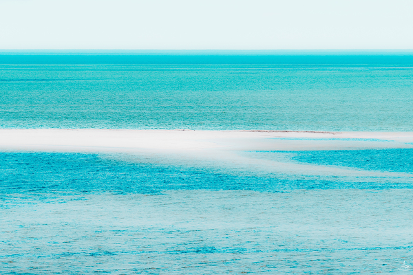 SHARK BAY WATERS by Michelle Andre