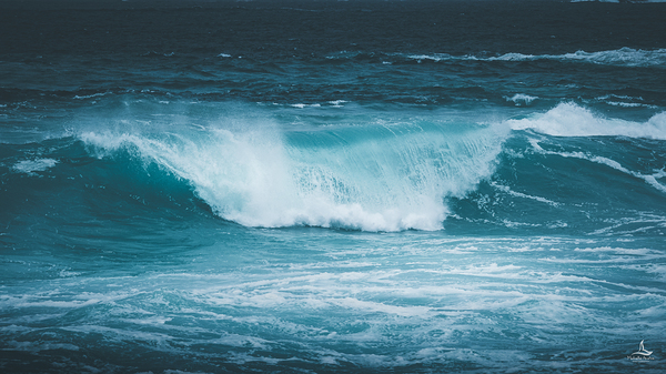 ESPERANCE DARK by Michelle Andre