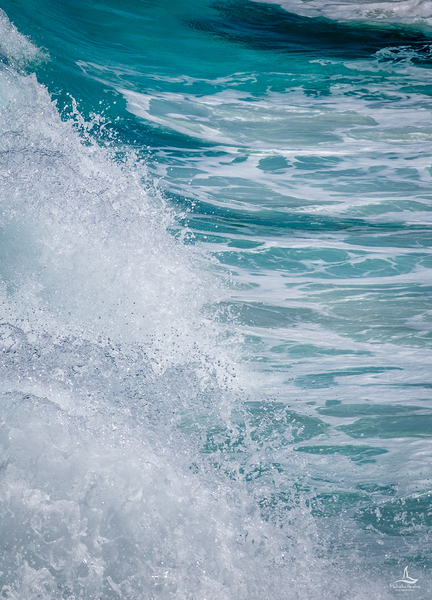 SOUTHERN  OCEAN -PORTRAIT by Michelle Andre
