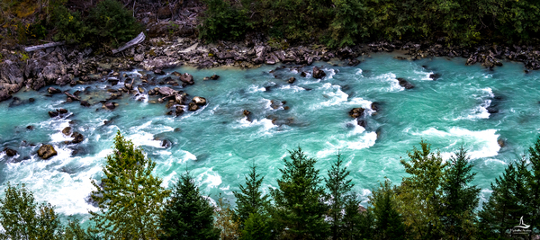 RIVER by Michelle Andre