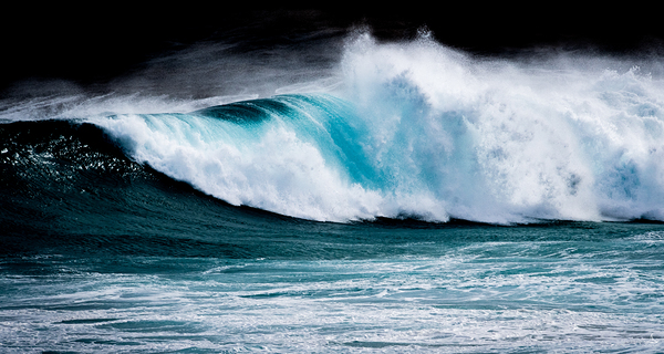 WILD WAVE by Michelle Andre