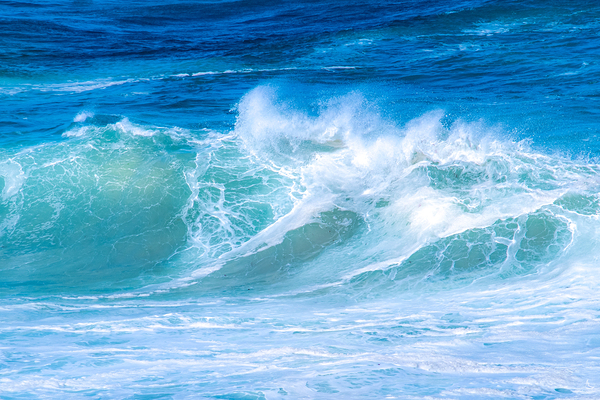 SOUTHERN OCEAN WAVE by Michelle Andre