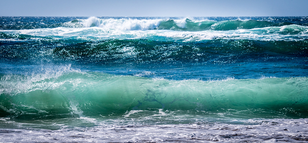 WILD PACIFIC by Michelle Andre