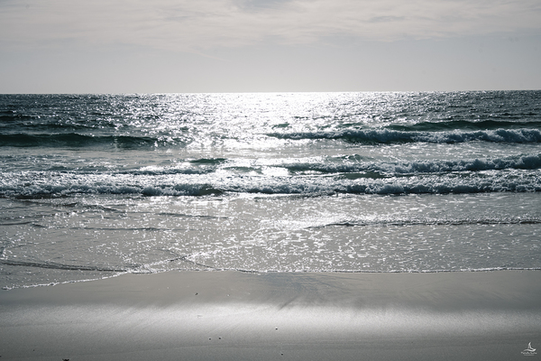 LIPSON COVE MORNING by Michelle Andre