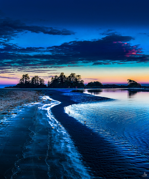 Tofino Sunset by Michelle Andre