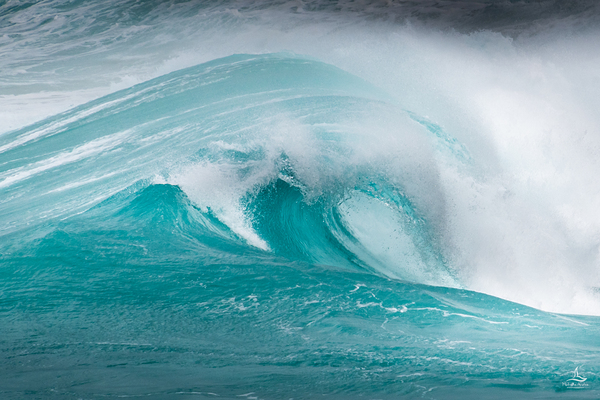 Turquoise Wave by Michelle Andre