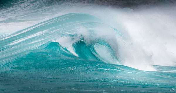 TURQUOISE WAVE PANO by Michelle Andre