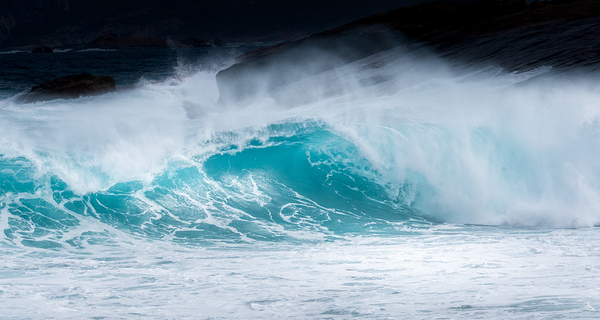 WILD ONE by Michelle Andre