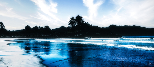 MISTY SHORES by Michelle Andre