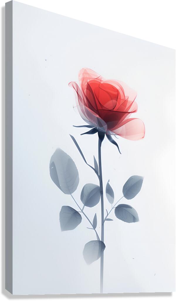 Rose Canvas Print