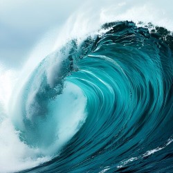 barrell wave
