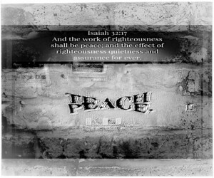 Scripture Pictures 08-02