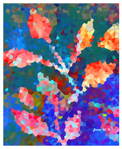 Dodgy colours signed