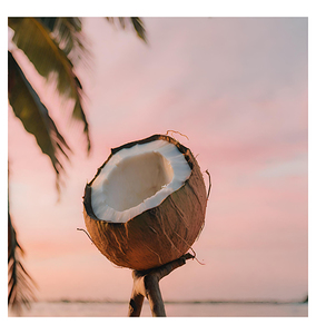 If I were a coconut 03