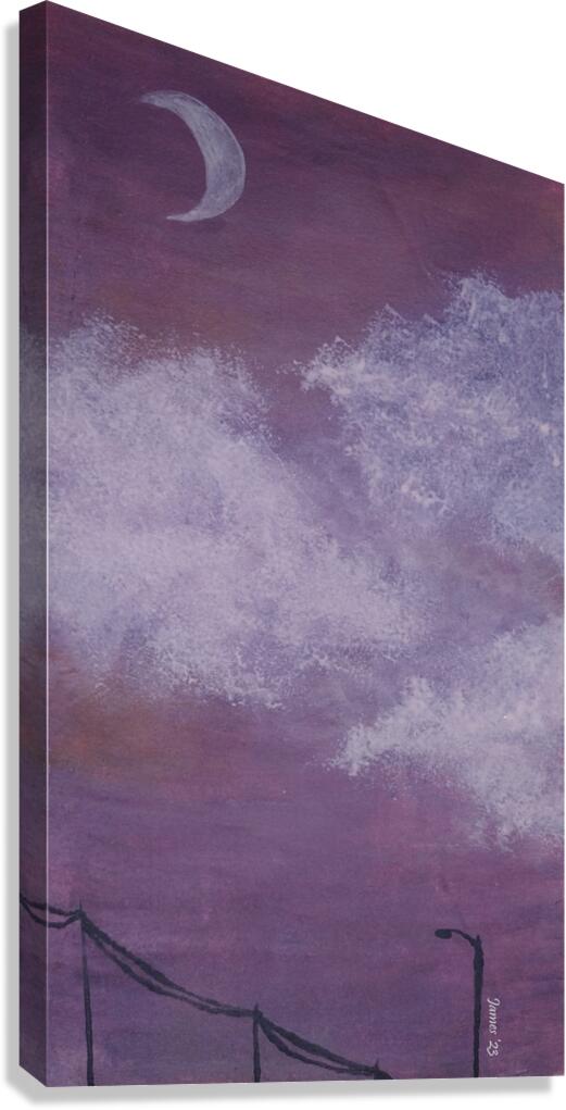 Nighttime sky Canvas Print