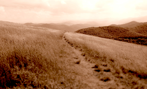 00095 The Pounded Path