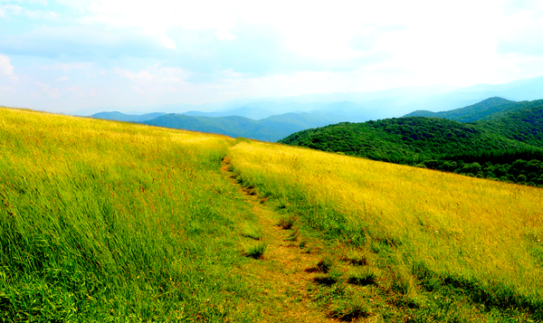 00097 The Pounded Path II by Dead Fall Gap