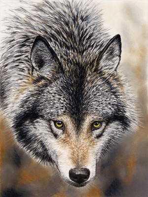 wolfcanvas