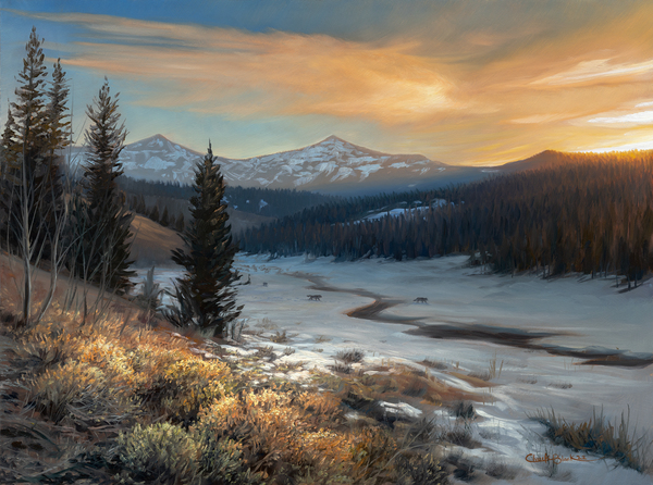STILL CANVAS by CRB