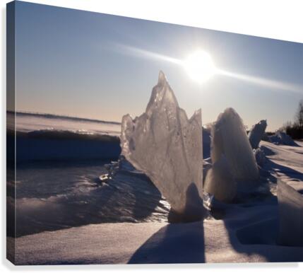 Sculptures Canvas Print