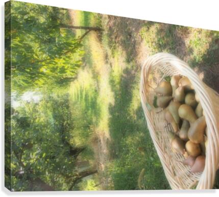 P9200547 Canvas Print