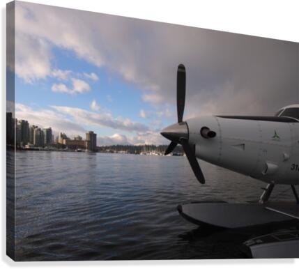 PC271867 Canvas Print