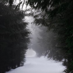 Winter Trails