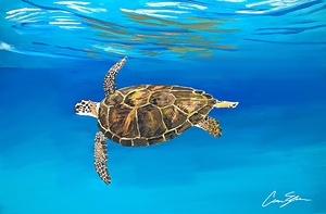 Sea Turtle Painting