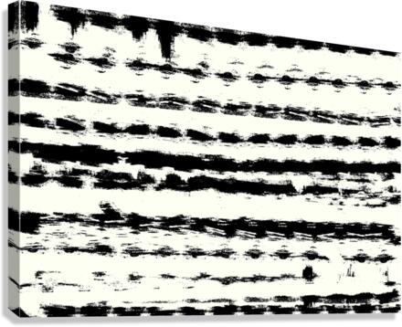 Tribal Wire  Canvas Print