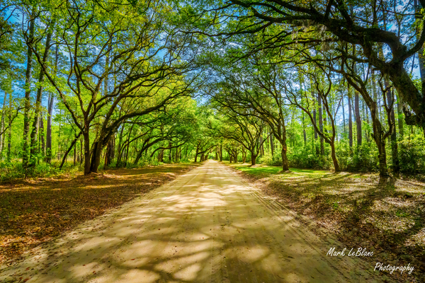 Back Roads Print
