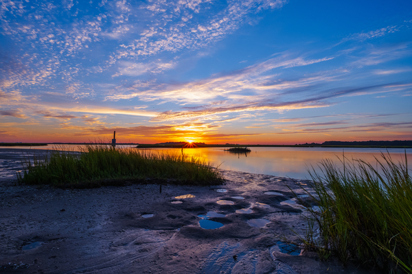 Marsh Land Print