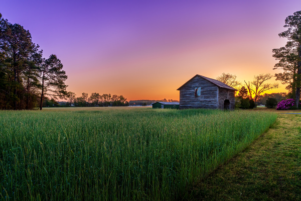 The Barn Print