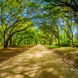 Back Roads