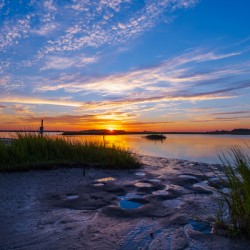Marsh Land