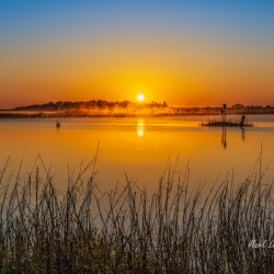 Morning Glow