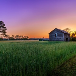 The Barn