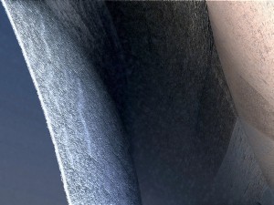 Gros plan Closeup