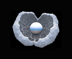 Incubation