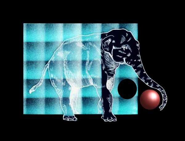 Elephant Print