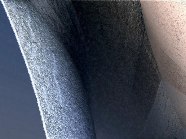 Gros plan Closeup Print